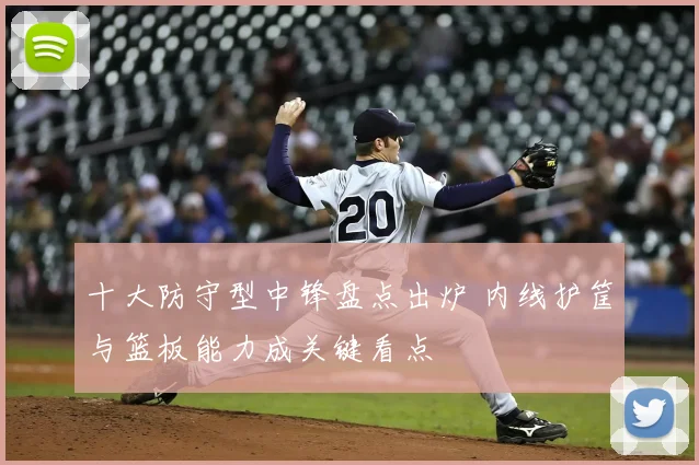 十大防守型中锋盘点出炉 内线护筐与篮板能力成关键看点