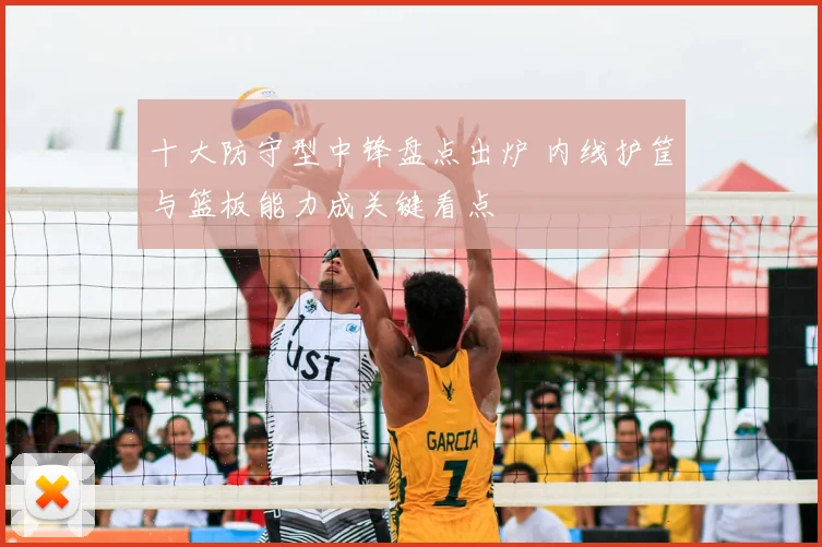 十大防守型中锋盘点出炉 内线护筐与篮板能力成关键看点