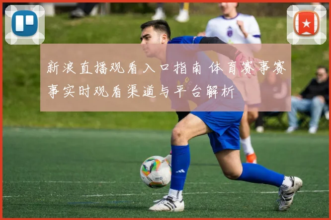 新浪直播观看入口指南 体育赛事赛事实时观看渠道与平台解析